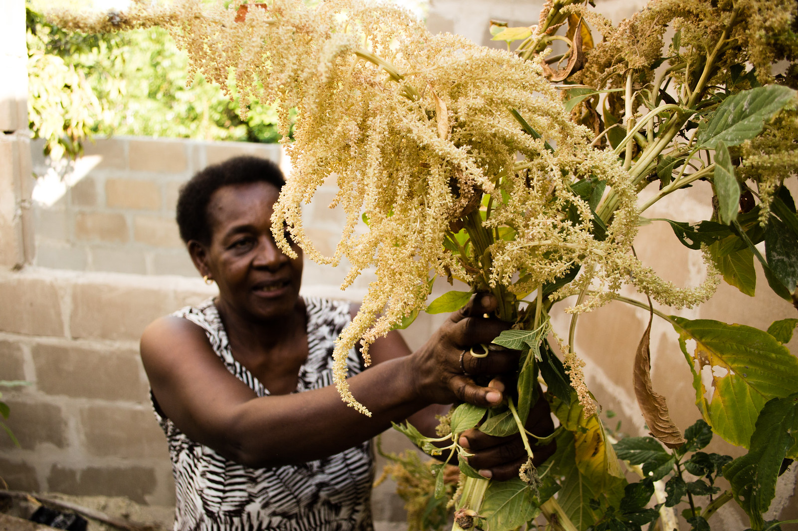 lady-with-plant