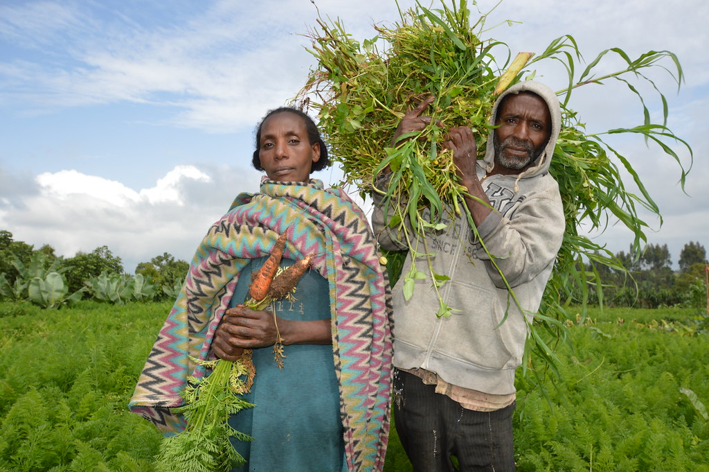 ethiopia-farmers